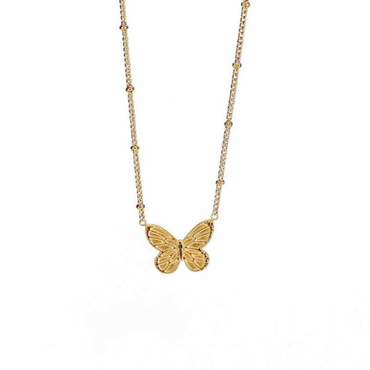 Cadena Mariposa